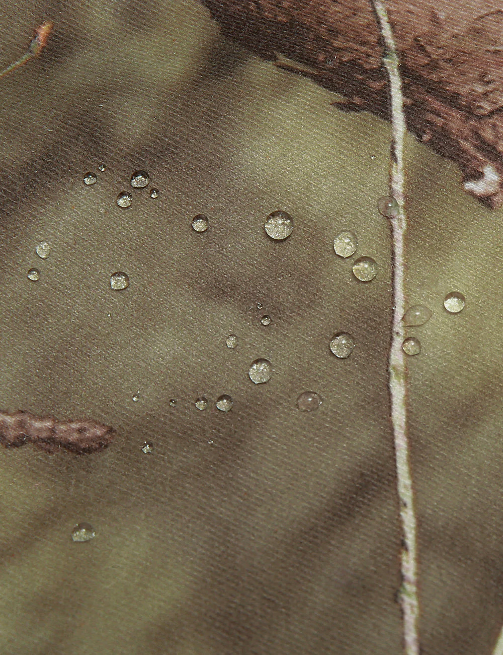 Thumbnail 13